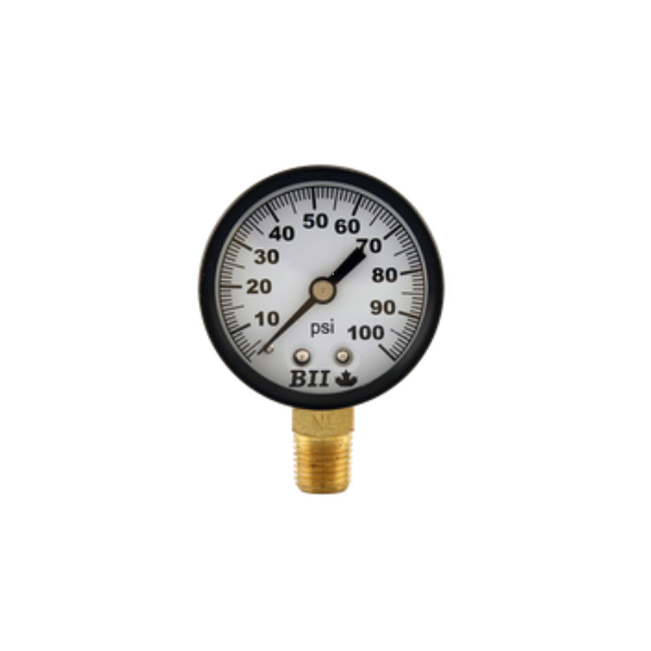 Standard Pressure Gauges